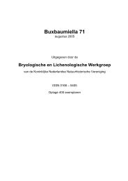 Buxbaumiella 61