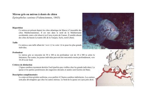 rencontres méroudatant de la chronologie des relations