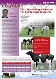 Klik hier voor de K&L courant van september 2009 - Koole & Liebregts