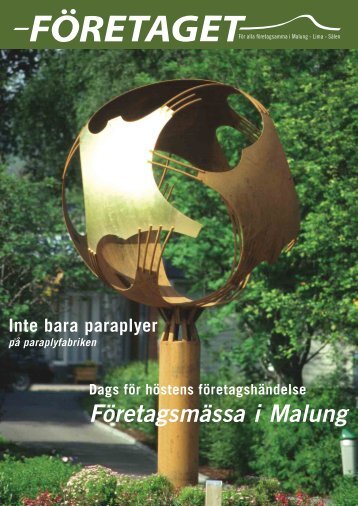Företaget nr 1, år 2002 - Malung-Sälens kommun