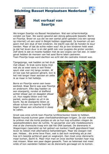 Stichting Basset Herplaatsen Nederland Het verhaal van Saartje