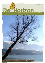 Horizon december.pub - GGZ Oost Brabant