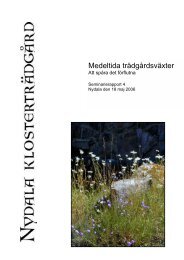 Hämta rapporten - Nydala Klosterträdgård