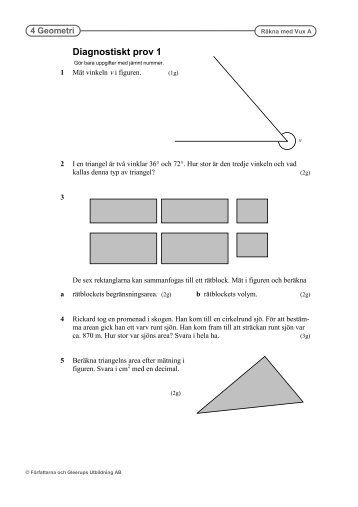 Diagnostiskt prov 1