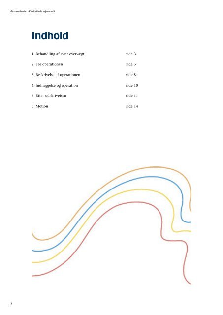 Operation for overvægt Gastric Bypass