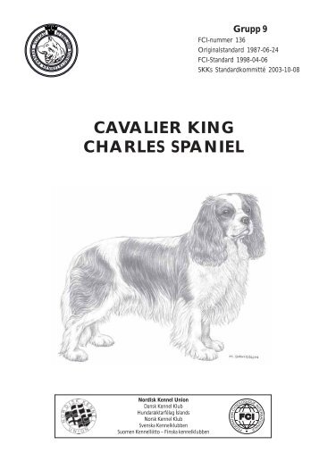 Cavalier king Charles spaniel Rasstandard - bernerhagen.se