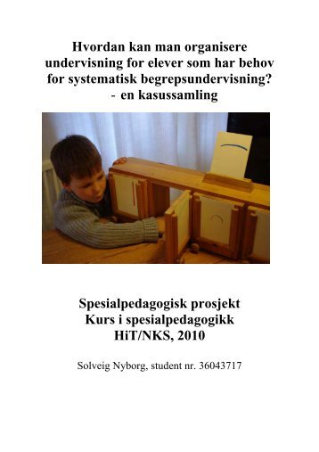 Organisering av systematisk begrepsundervisning i skolen - Nyborg ...