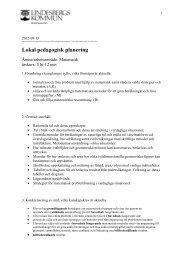 Lpp Matematik åk 5 Safiren.pdf - Lindesberg.se