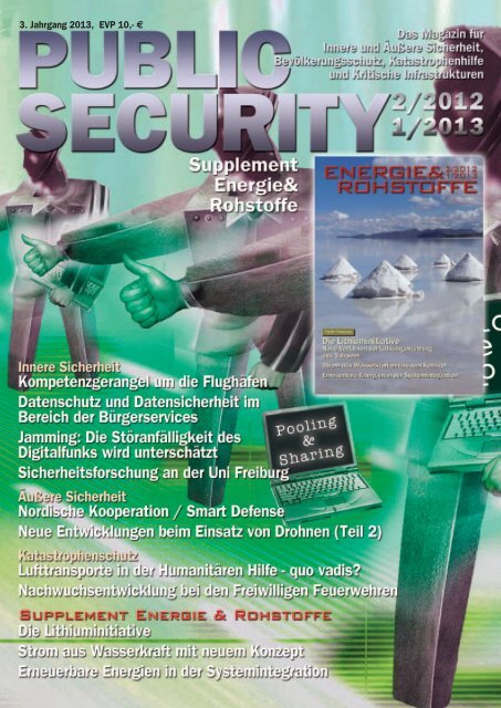 1-2013 - Public Security