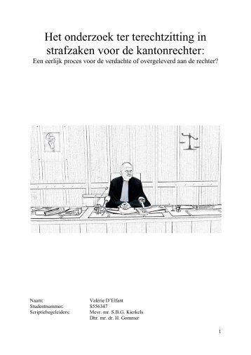 Het onderzoek ter terechtzitting in strafzaken voor de ... - Njb