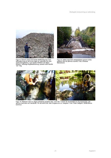 Ekologisk restaurering av vattendrag - Havs