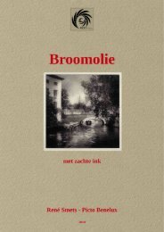 Broomolie met zachte inken - René Smets (pdf)