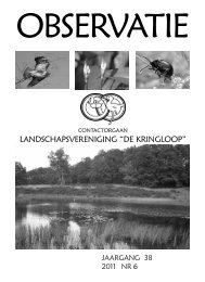 Observatie no. 6: november (Klik hier voor pdf-bestand) - Kringloop