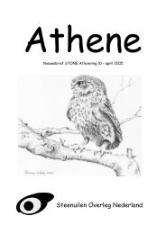 Athene 10 - Zoogdierenwerkgroep