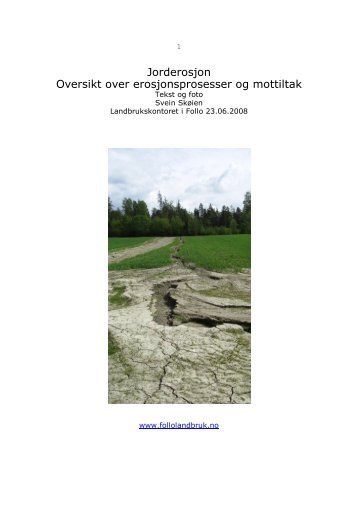 Erosjonsprosesser og mottiltak. 53 sider. pdf 9,5 MB.