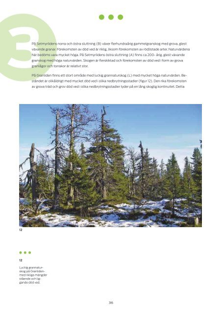 Bilaga 2. Miljökonsekvensbeskrivning - Nordisk Vindkraft