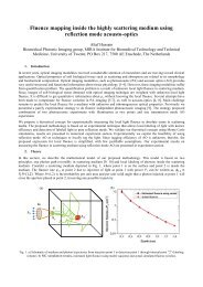 Fluence mapping inside the highly scattering medium using ...