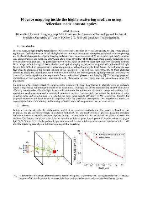 Fluence mapping inside the highly scattering medium using ...