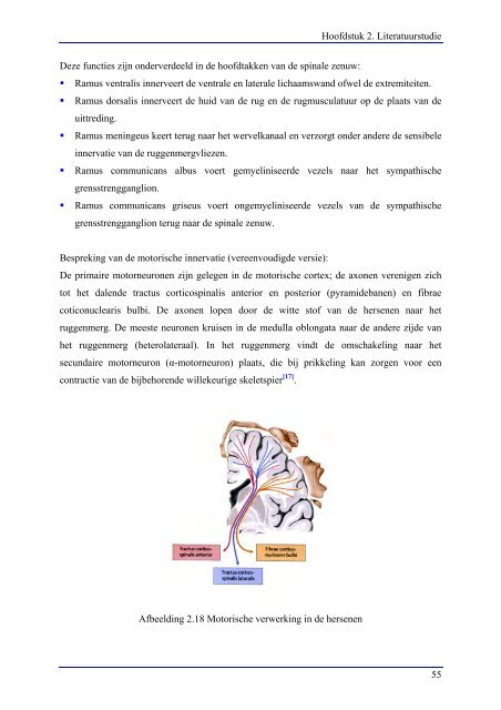 Hoofdpijnonderzoek inclusief hoofdpijn behandelprotocol