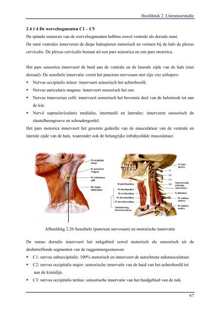 Hoofdpijnonderzoek inclusief hoofdpijn behandelprotocol