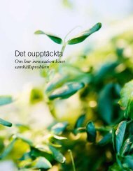 Det oupptäckta - om hur innovation löser samhällsproblem - RISE