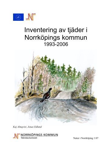Inventering av tjäder i Norrköpings kommun 1993 - 2006