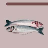 Vlees, vis, eieren en vervangproducten - Voedingsatlas