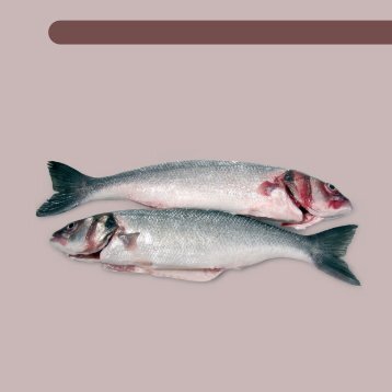 Vlees, vis, eieren en vervangproducten - Voedingsatlas