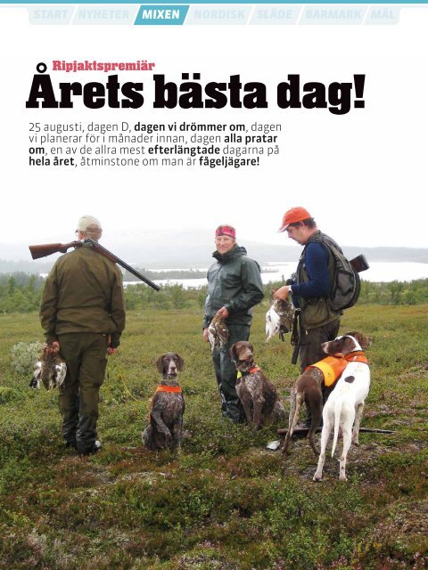 Läs artikel - ForsWards