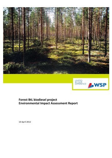 Forest BtL, Kemi Ajos, EIA report, english 30.5.2012 (PDF, 6,0 MB)