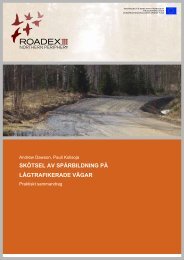 skötsel av spårbildning på lågtrafikerade vägar - ROADEX