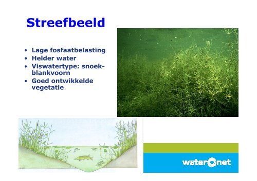 Flexibel peil - Waternet Innovatie