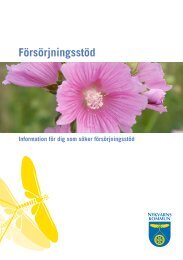 Försörjningsstöd med innehållsförteckning.pdf - Nykvarns kommun