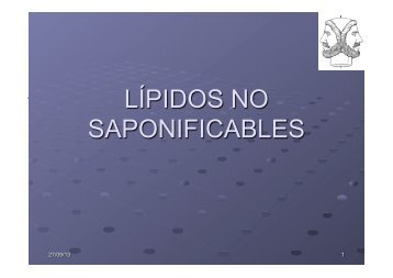 LÍPIDOS NO SAPONIFICABLES