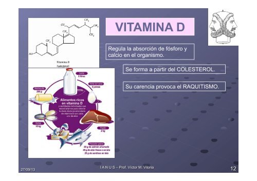 LÍPIDOS NO SAPONIFICABLES