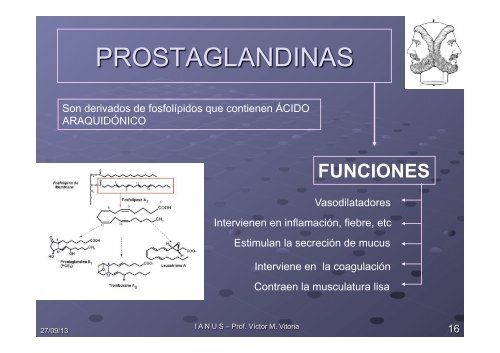 LÍPIDOS NO SAPONIFICABLES