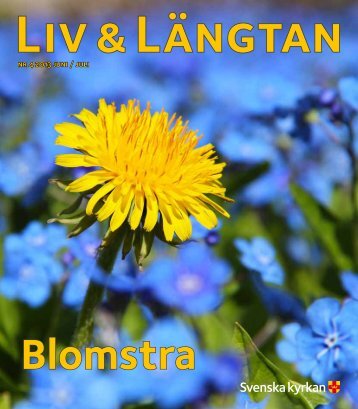 Liv & Längtan - Svenska kyrkan i Linköping