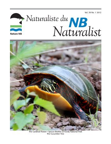 Have a peek inside! - Nature NB