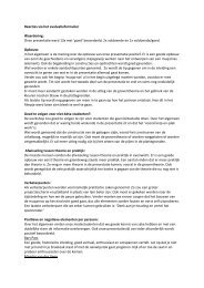 reflectie - J.P. Hogendijk