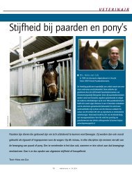 Stijfheid bij paarden en pony's - Dierenartsenpraktijk Moergestel