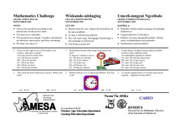 Grade 4101 - AMESA