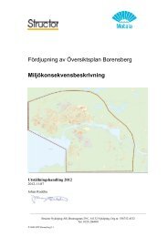 Fördjupning av Översiktsplan Borensberg Miljökonsekvensbeskrivning