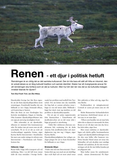 Renen - Djurskyddet Sverige