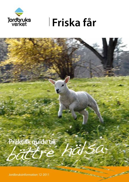 Friska får - bild - Jordbruksverket