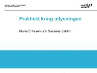 Susanne och Maria Praktiskt kring utlysningen 28 ... - Tillväxtverket