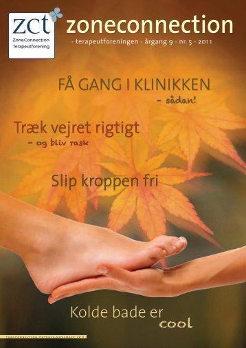 zoneconnection - ZCT