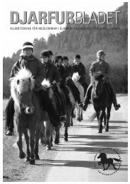 Djarfurbladet 4/2004 i pdf-format