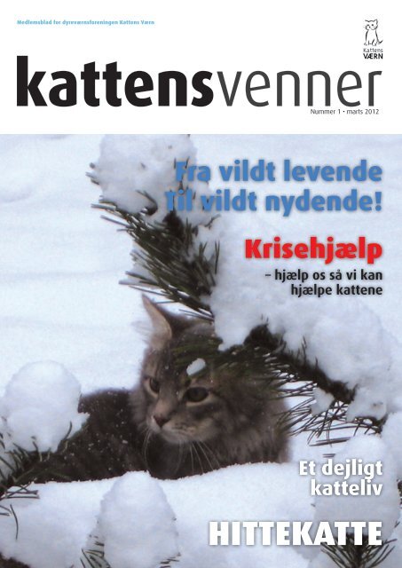 HITTEKATTE - Kattens Værn