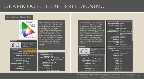 GRAFIK OG BILLEDE - FRITLÆGNING - Fransisco