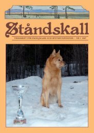 Jaktprov 2007 - Specialklubben för skällande fågelhundar